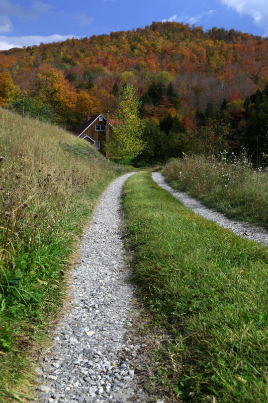 Cottonhill Path