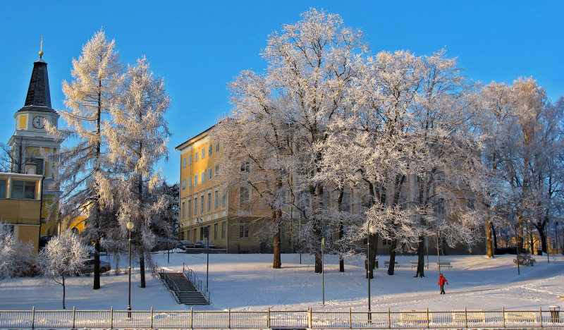 Frosty Trees, Tampere