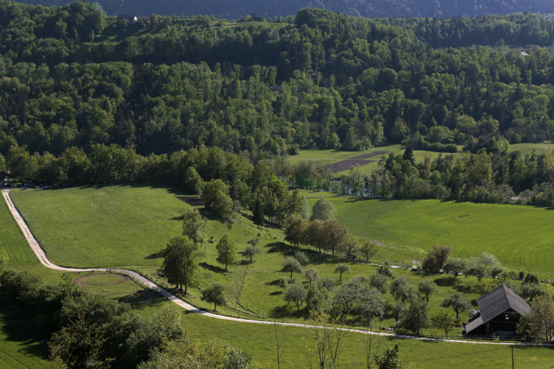 Radovljica