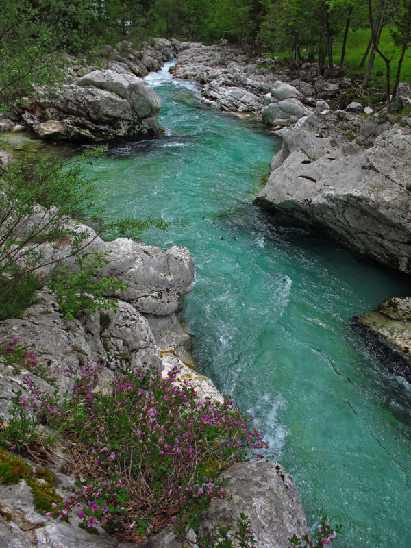 Soča River