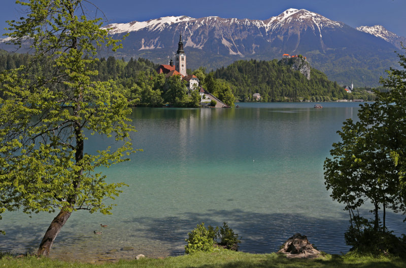 Lake Bled