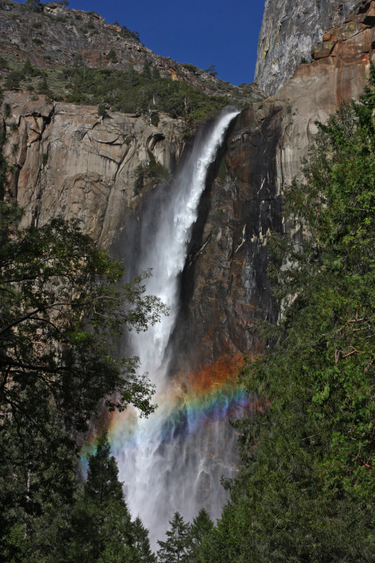 Yosemite Mist Bow