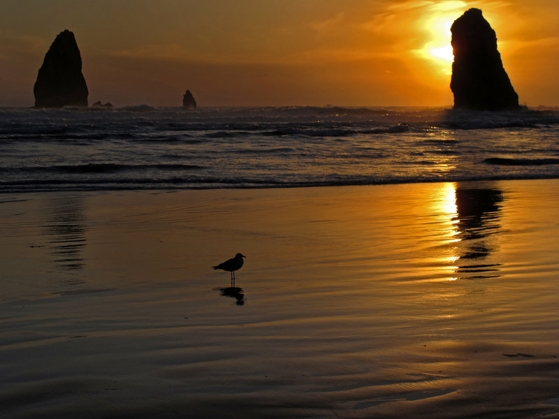 Golden sunset, Cannon Beach, Oregon