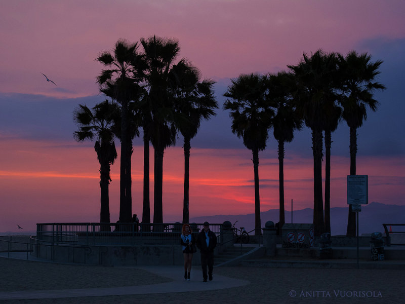Venice Sunset, CA