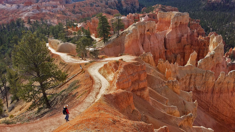 Bryce Canyon Sunset Point Trail