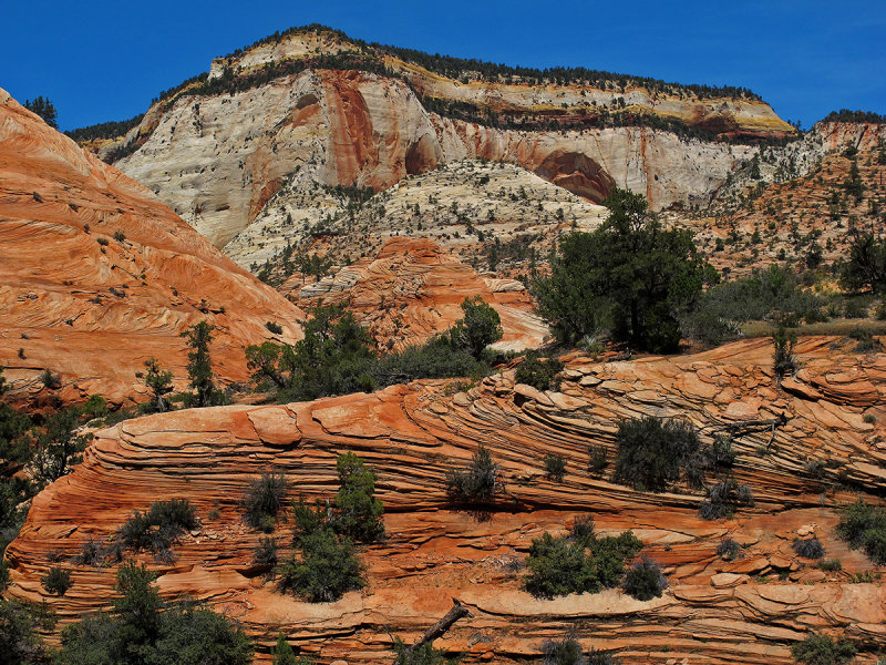 Zion NP