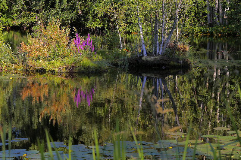 Reflection, Lake Pyhäjärvi