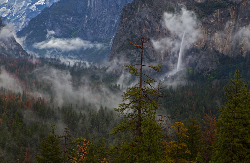 Bridal Veil Fog Heart