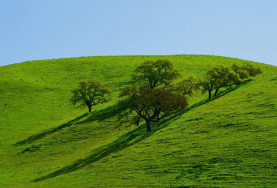 California 