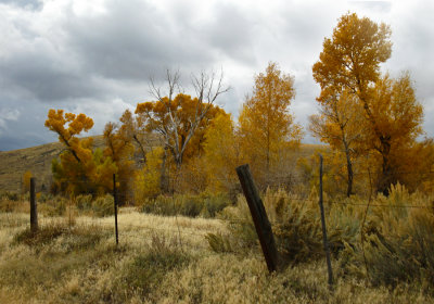 Utah 