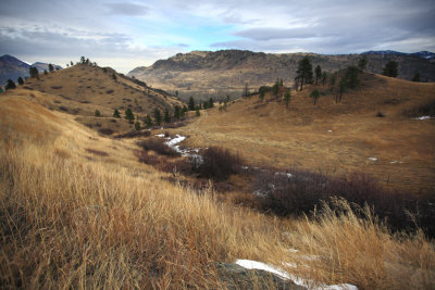 Montana