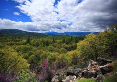 North east  California 