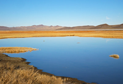 Nevada