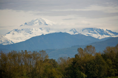 Mt Baker