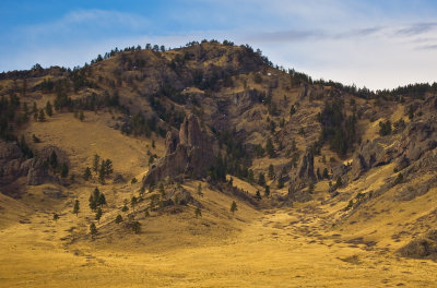 Montana 
