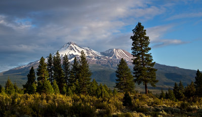 Northern-California 