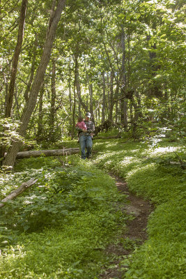 Shenandoah Park  June 2014