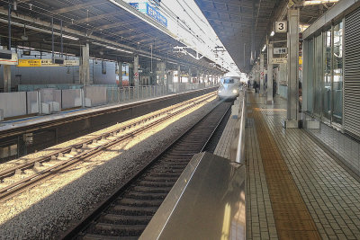 Here comes the Shinkansen!