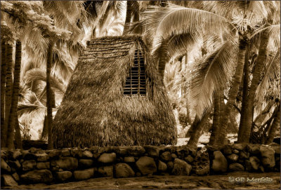 Hale at  Pu'uhonua O Honaunau (2)