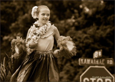Hula on the Road