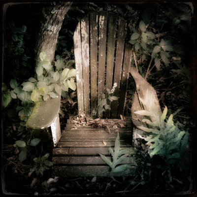 Chair in the Woods