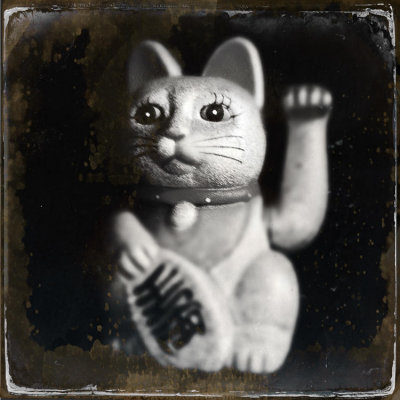 Lucky Cat