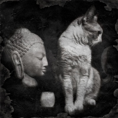 Buddy Profiles Buddha 02