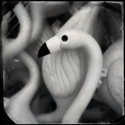 Flamingo Bin