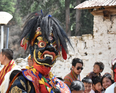 paro festival