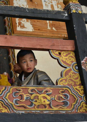 paro festival