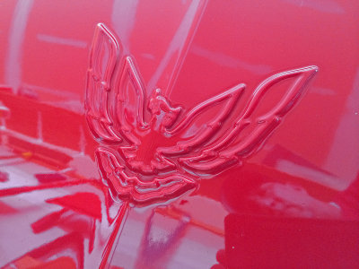 Hood Emblem web.jpg
