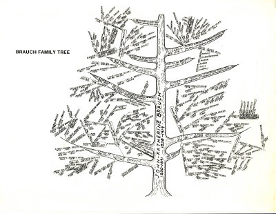 Brauch Family Tree