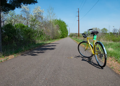 Old Yeller on the Old Abe Bike Trail