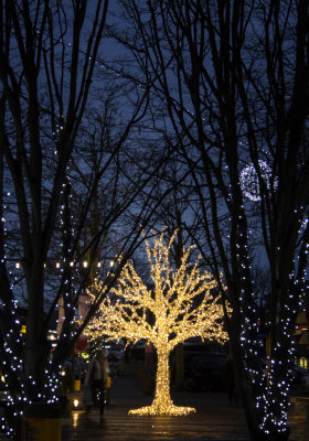 O Christmas tree...