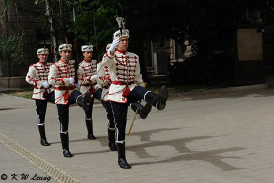 Changing Presidential Guards DSC_7530