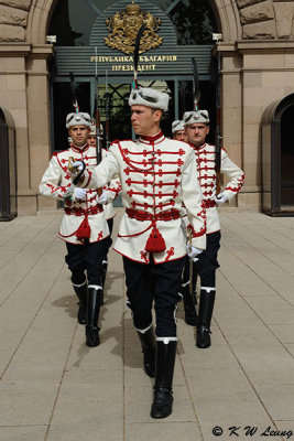 Changing Presidential Guards DSC_7544