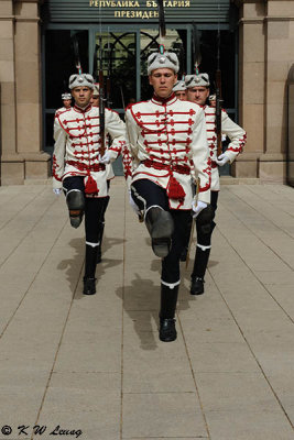 Changing Presidential Guards DSC_7543