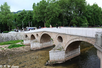 Latin Bridge DSC_6290