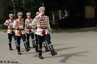 Changing Presidential Guards DSC_7531