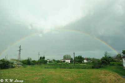 Rainbow in the rain DSC_6972