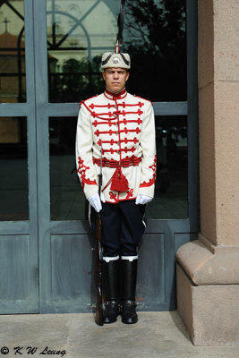 Presidential Guard DSC_7512