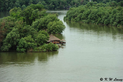 Sava River meets Danube River DSC_6016