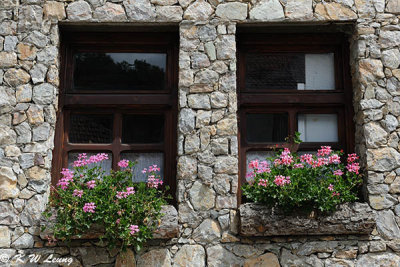 A pair of windows DSC_6168