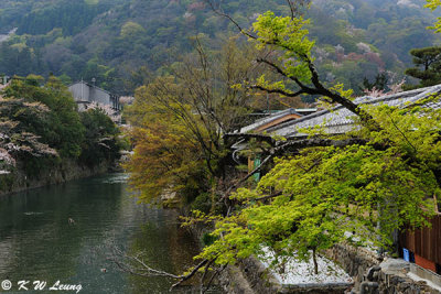Arashiyama DSC_3332