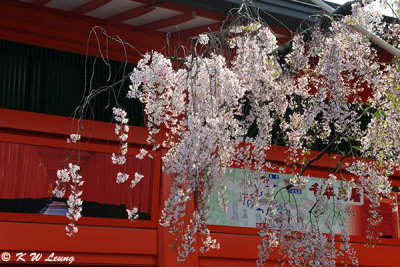 Fushimi Inari Taisha DSC_3197