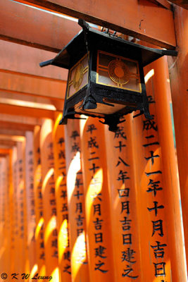 Thousands of Torii DSC_3263