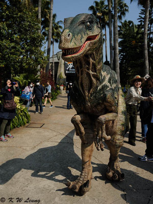 Dinosaur DSC_2794