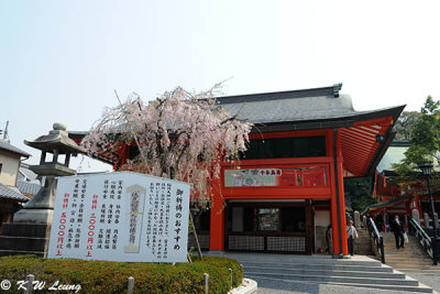 Fushimi Inari Taisha DSC_3193