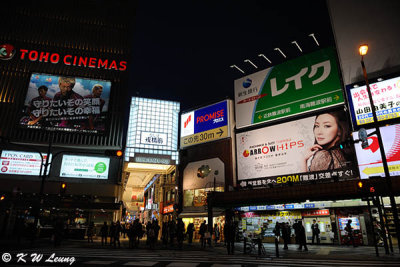 Ebisubashi-suji Shopping Arcade DSC_3425