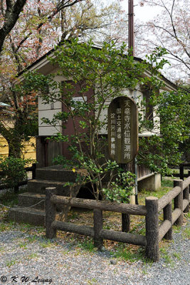 Arashiyama DSC_3343